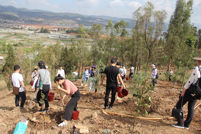 1560224452476620.jpg IMG_8231.JPG