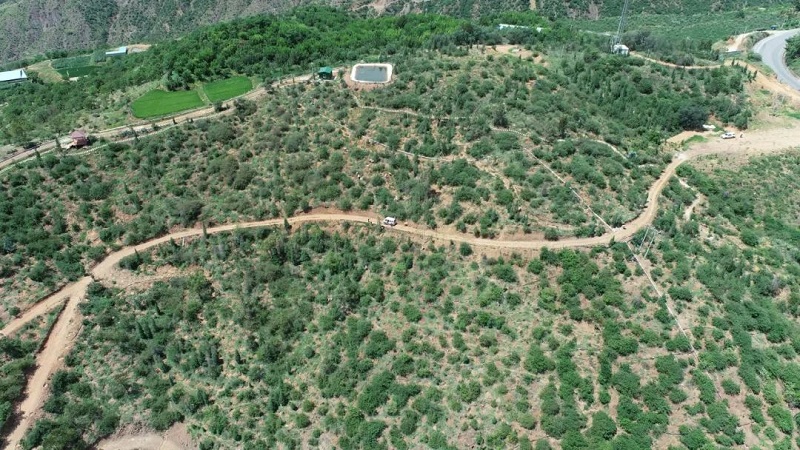 1692257815286804.jpg 6.jpg