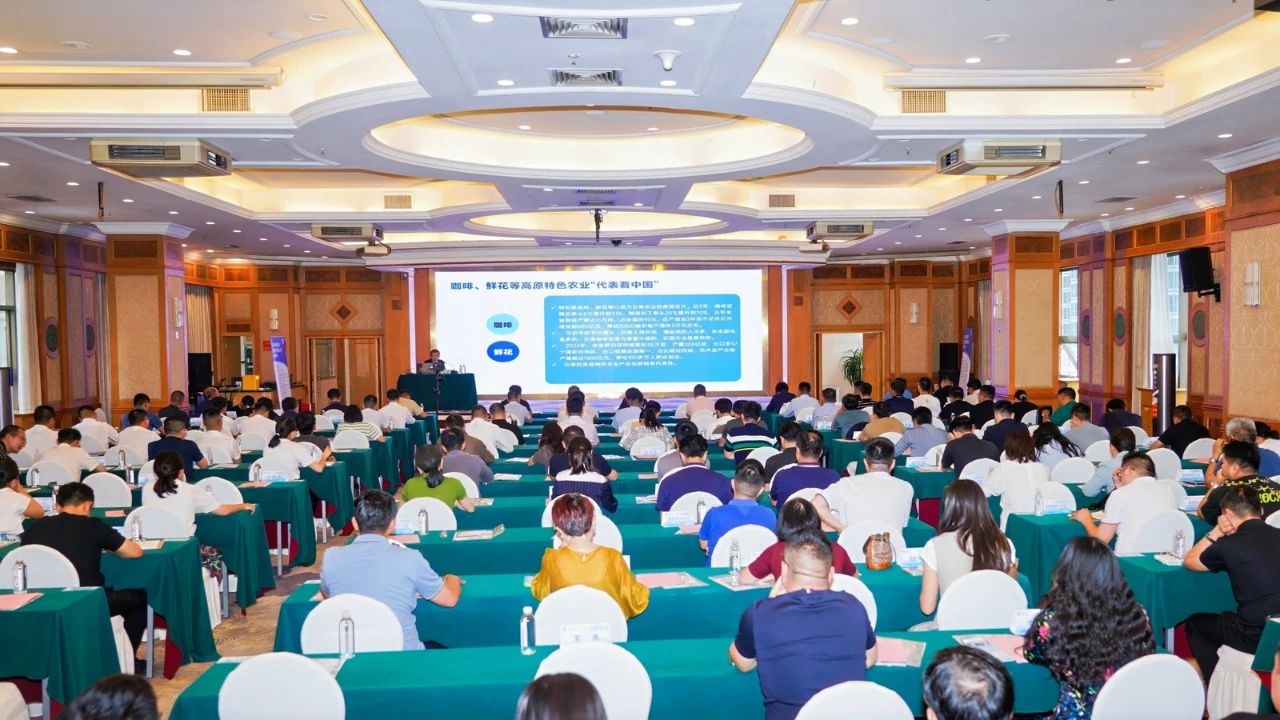 1754902140912549.jpg 333.jpg